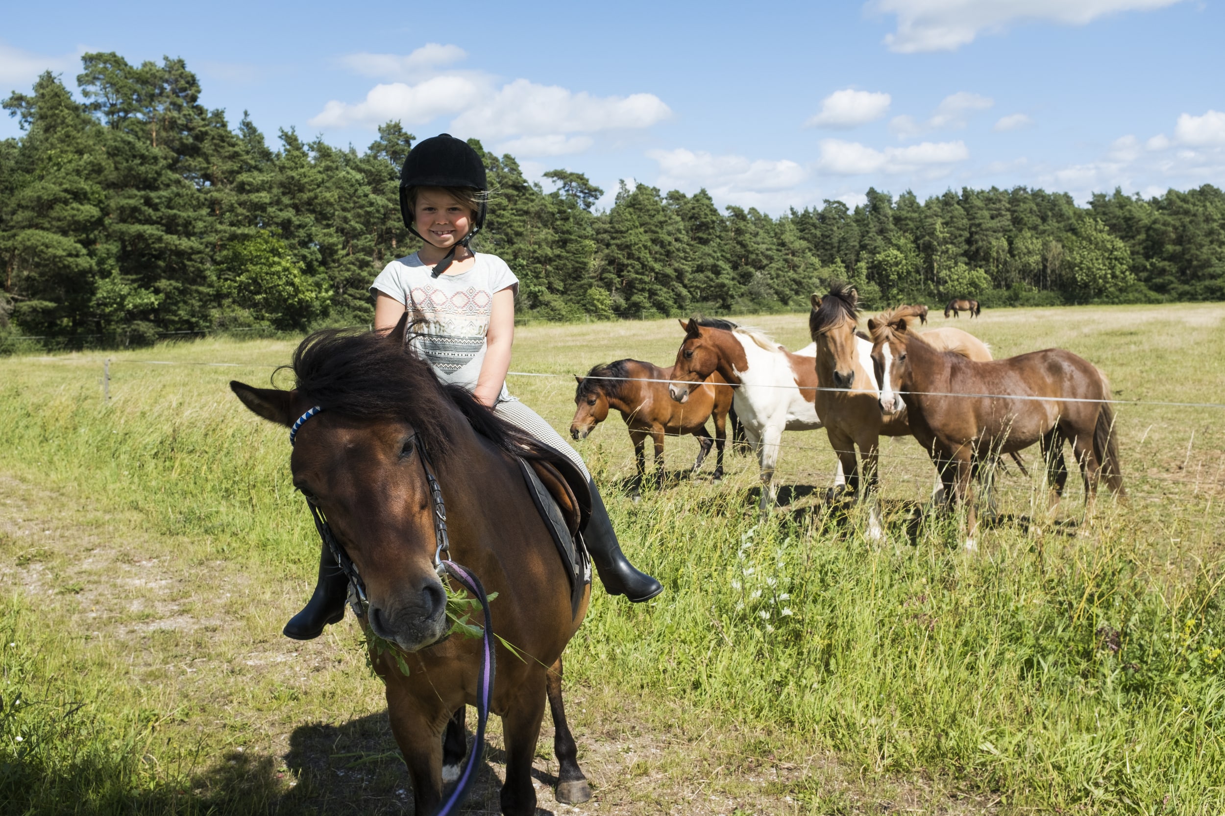 En flicka på en häst bredvid en hage med hästar