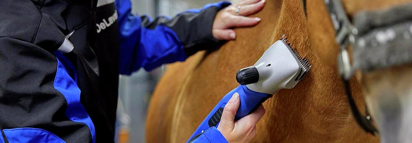 hästklippning - blå delaval trimmer körs varsamt mot hästens sida