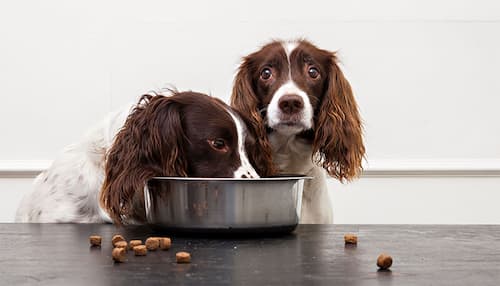 Granng&aring;rden no result