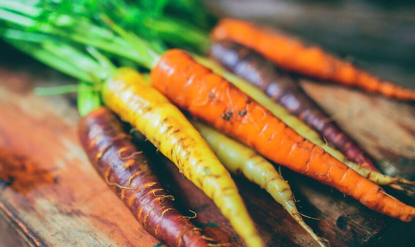 Morötter i olika färger