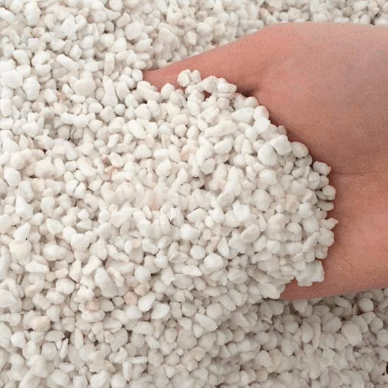 perlite förkultivering