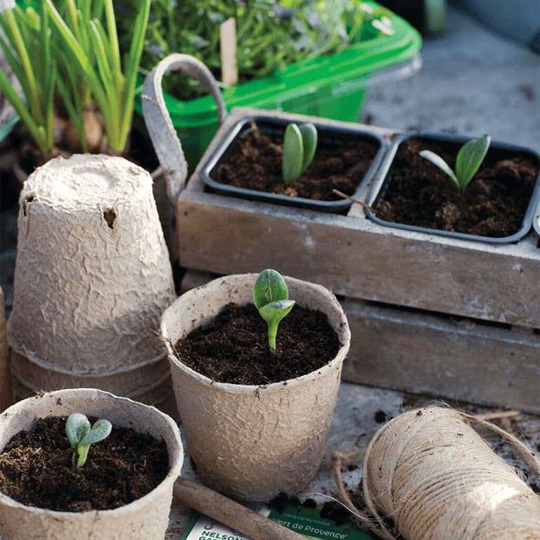 planteringskrukor såkruka