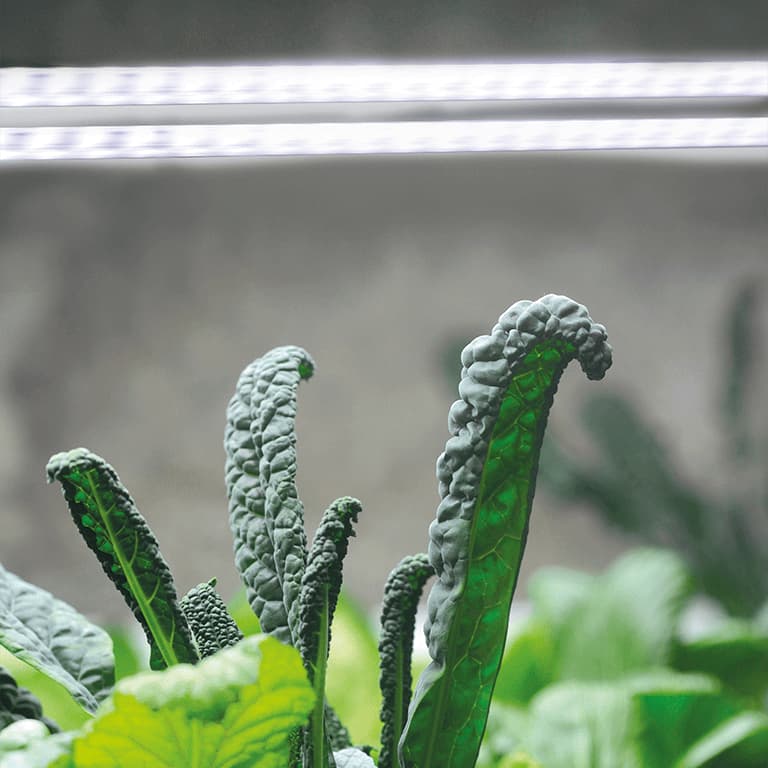 led ramp med adapter - växtbelysning