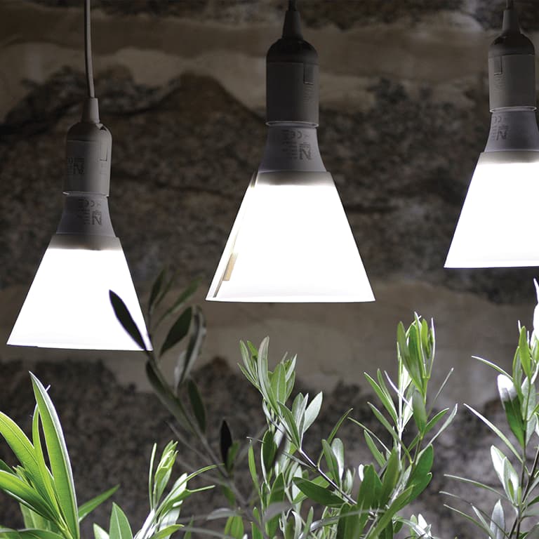 växtlampor från granngården