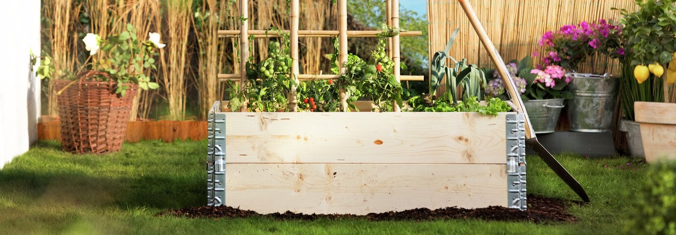 Pallkrage – plantera i odlingslådor