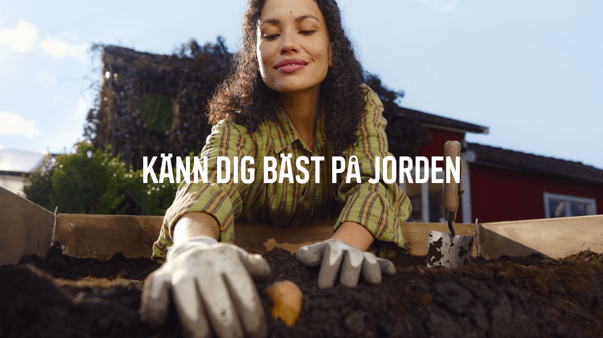 Miljöbild som beskriver känslan på Granngården Västervik