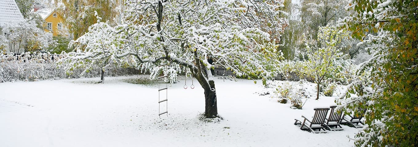vinterträdgård med snö
