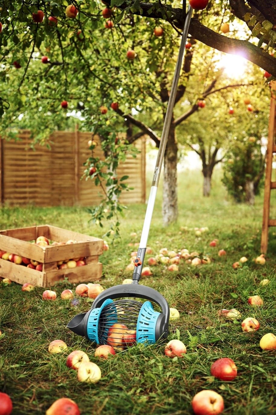 Så minskar du skadorna på din frukt