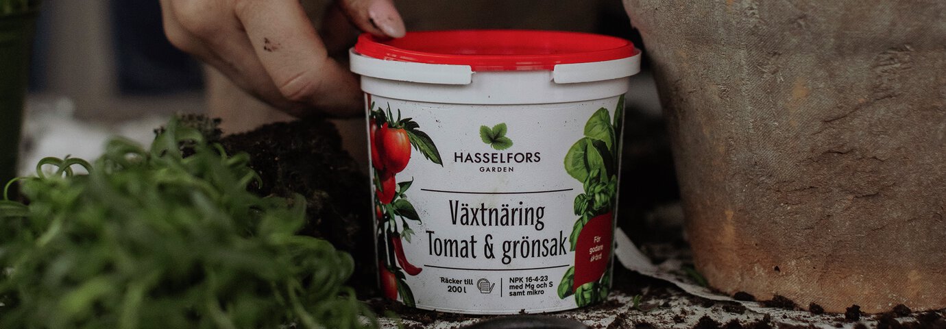 tomatnäring i hink från granngården hasselfors