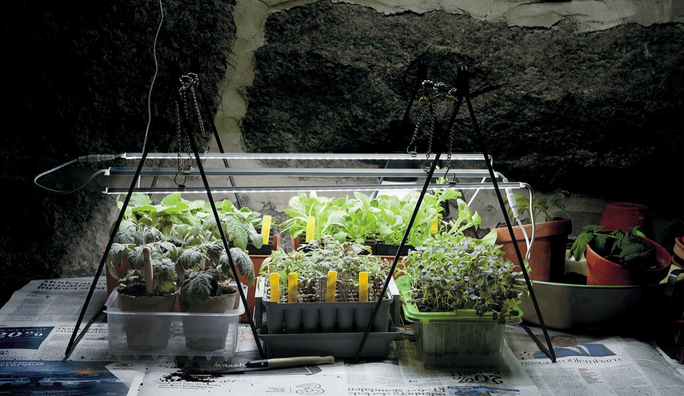 Växtbelysning, växtlampor och odlingslampor hos Granngården