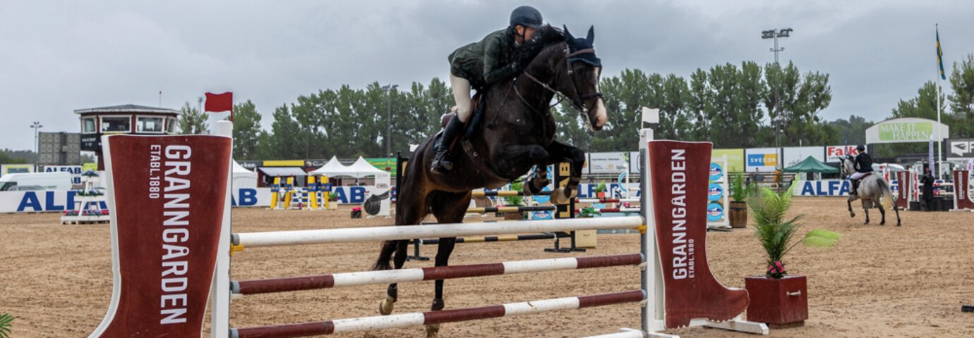 Så väljer du rätt hästfoder för tävlingshästen. Läs mer online på granngården.se