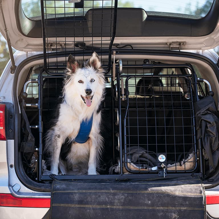 Hundgrindar Hundgaller Granngården