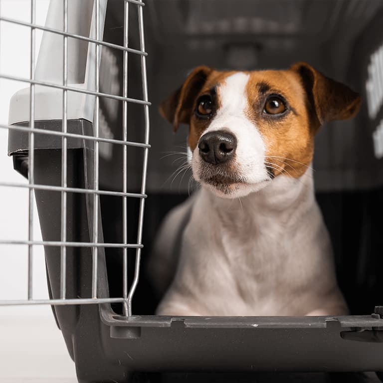 Hundbur Granngården