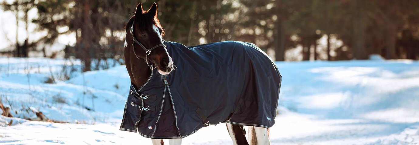 Häst står i vinterlandskap med ett hästtäcke på sig