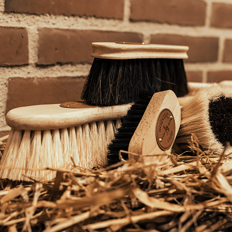 Ryktborste & Ryktskrapa