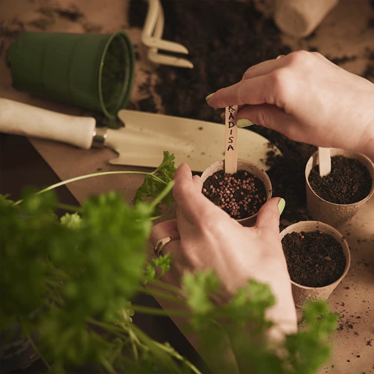 Förodla med såjord
