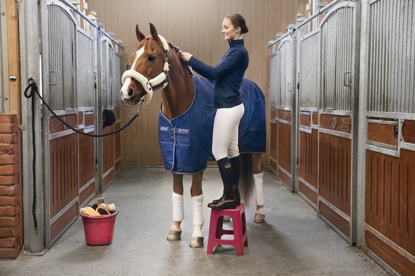 Pälsvård i stallet på häst med hästtäcke