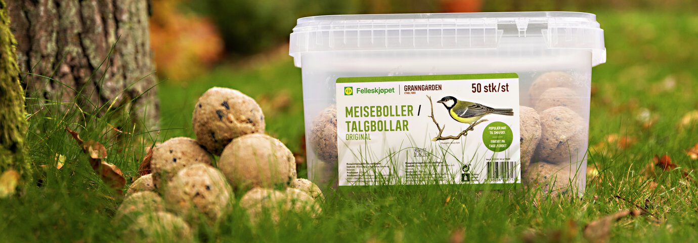 granngårdens egna talgbollar ligger i gräset vid en trädstam