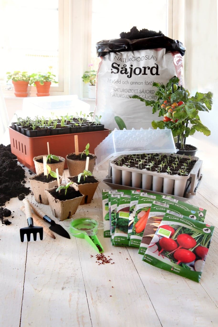 såjord + minidrivhus