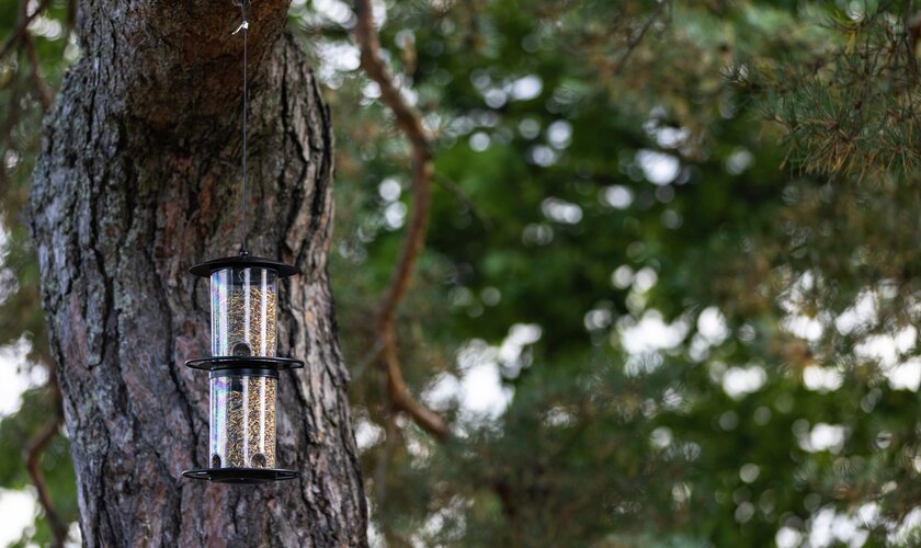 Fågelmatare från träd - Granngården Julklappstips