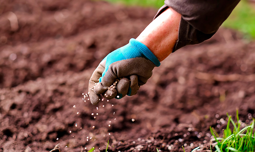 Gödsla gräsmattan med Granngården