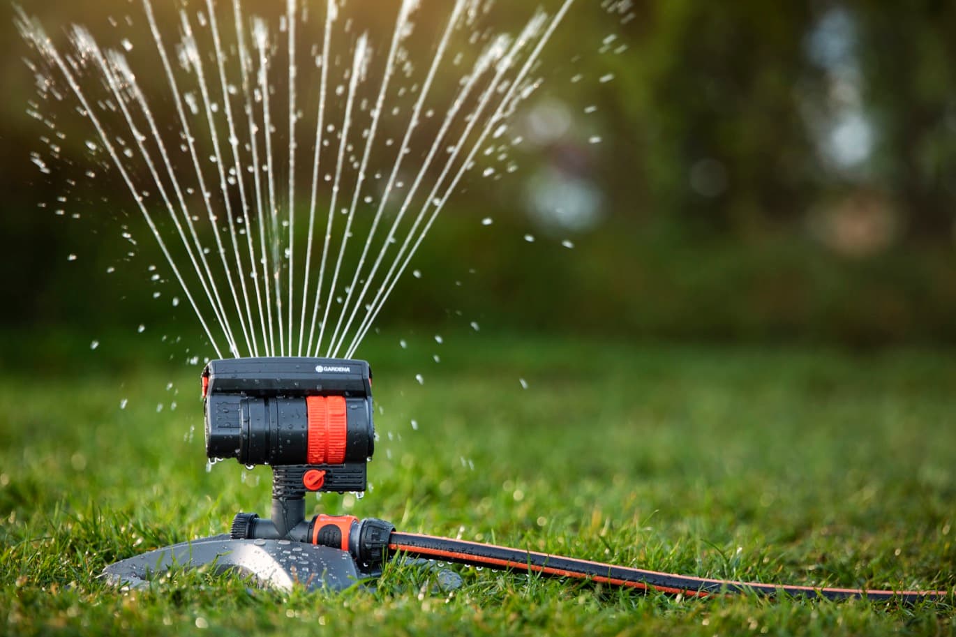 vattenspridare över gräsmatta