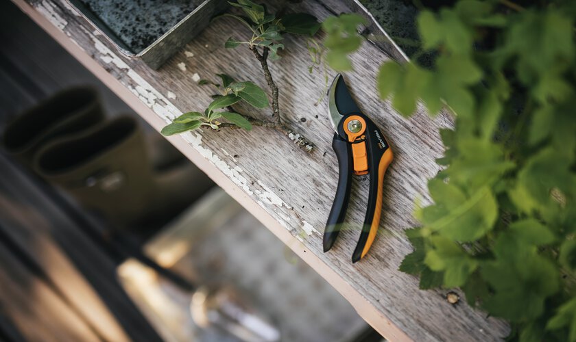 Sekatör-Fiskars-Beskärning