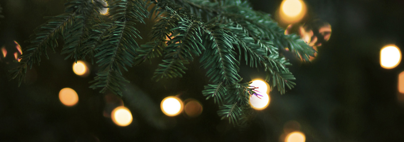 julgran med julgransbelysning i bakgrund