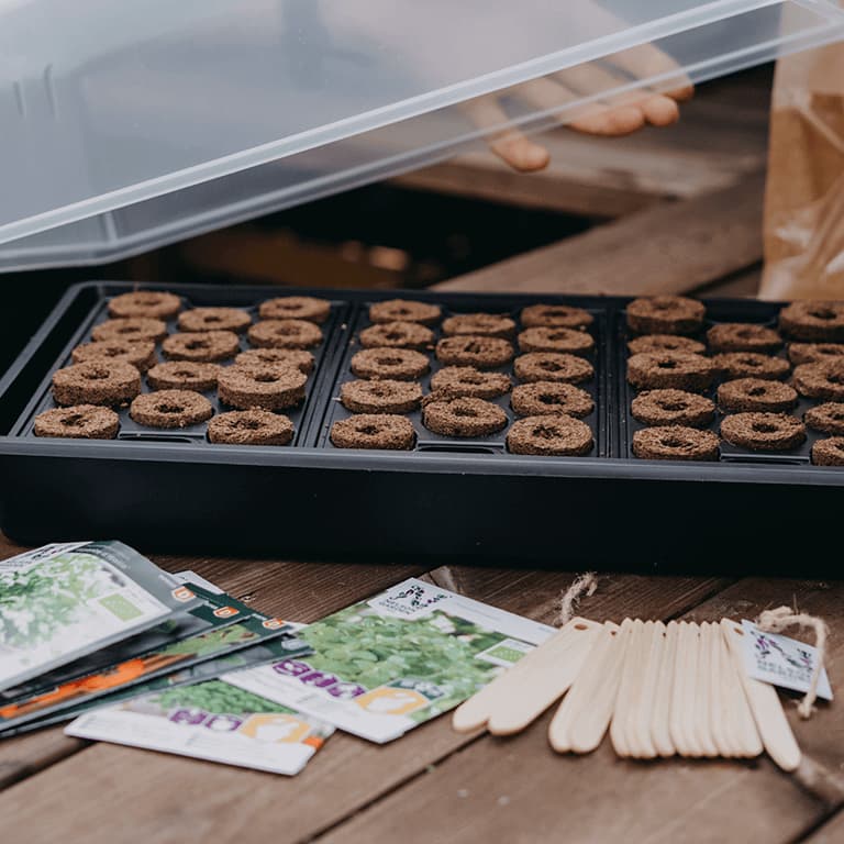 Minidrivhus Pluggbrätte