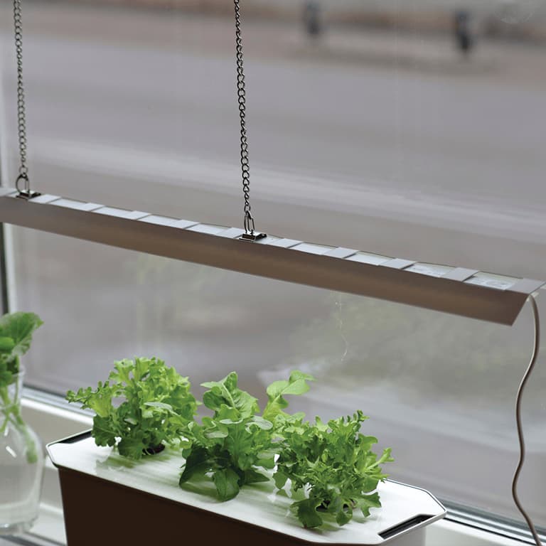 bländskydd växtbelysning