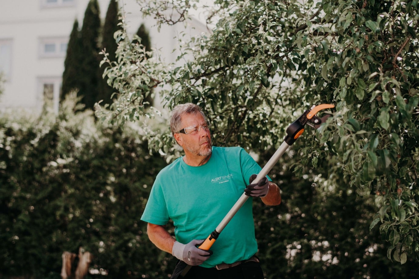 Boka Trädbeskärning från Trädgårshjälpen - en servicetjänst från Granngården
