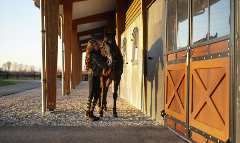Ung tjej som leder häst till stall i solnedgång