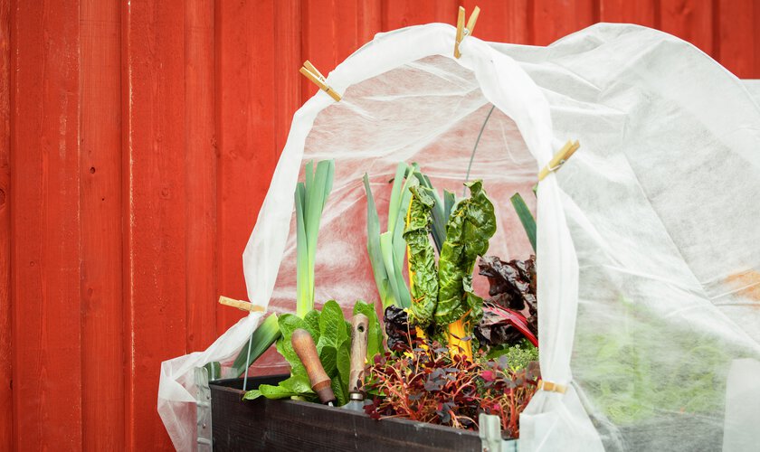 Pallkrage med fiberduk mot faluröd vägg