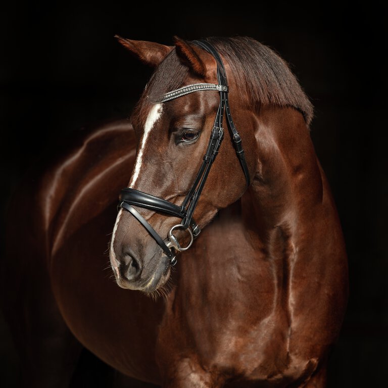 Dämpa sinnesintryck häst Granngården