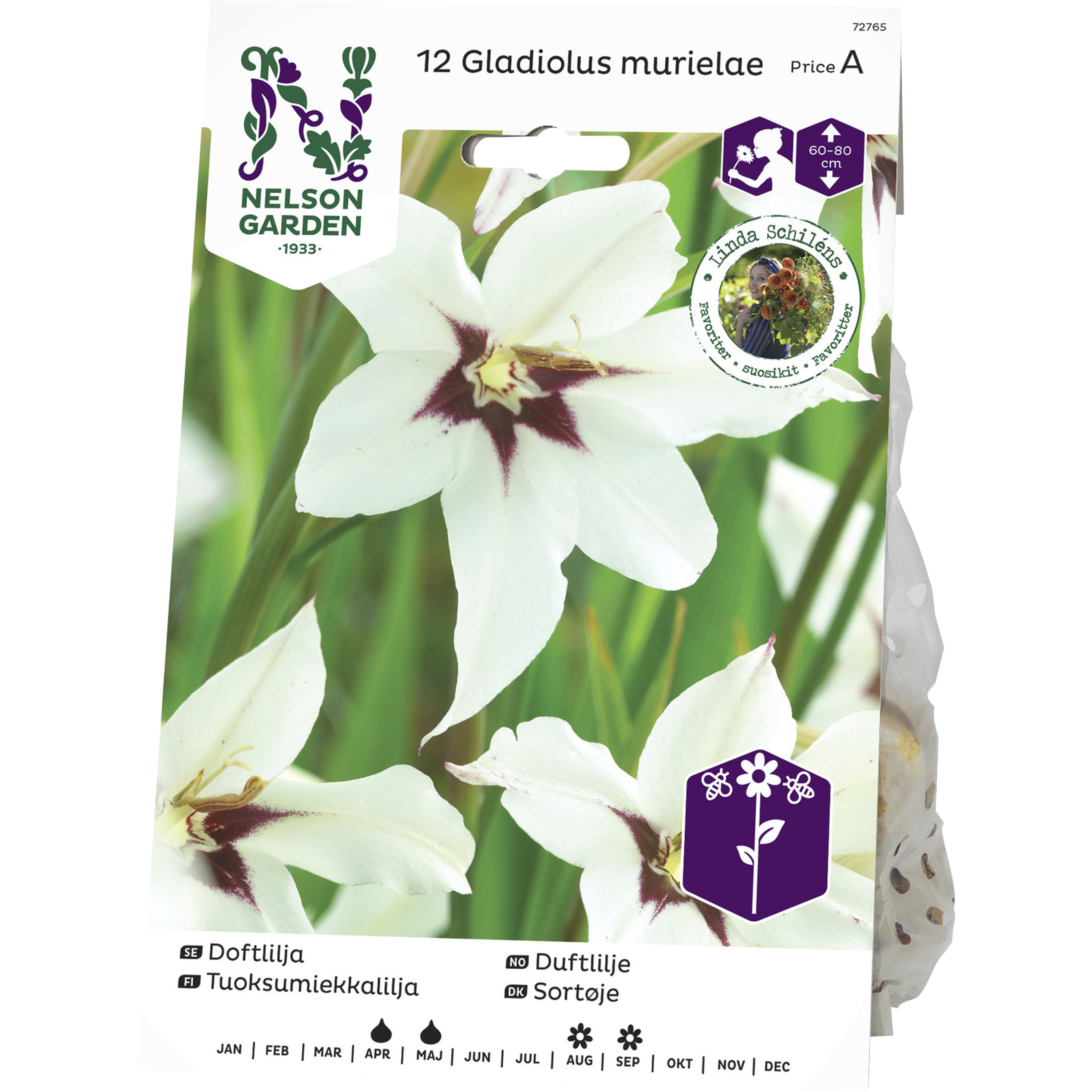 Vårlök Nelson Garden Doftlilja Gladiolus Murielae Vit