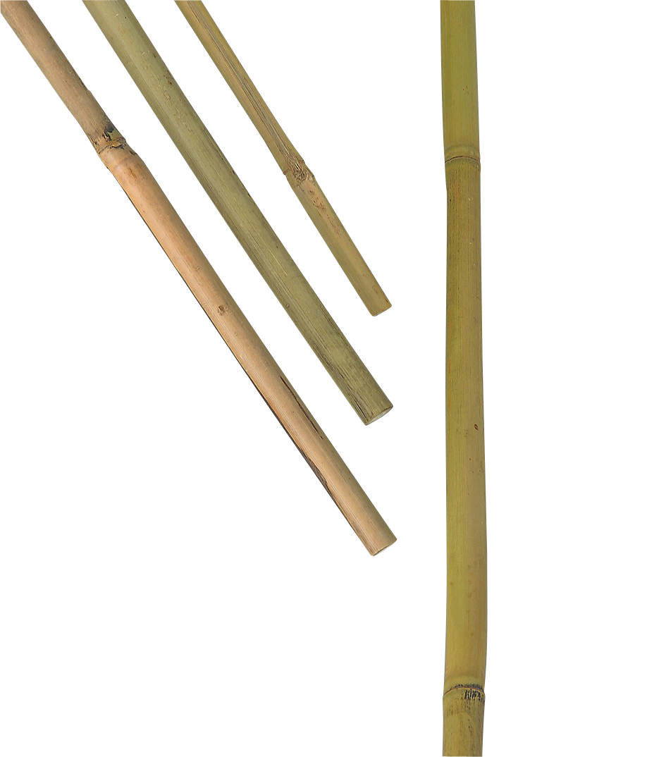 Bambukäpp Nelson Växtstöd, 5-pack 120 cm
