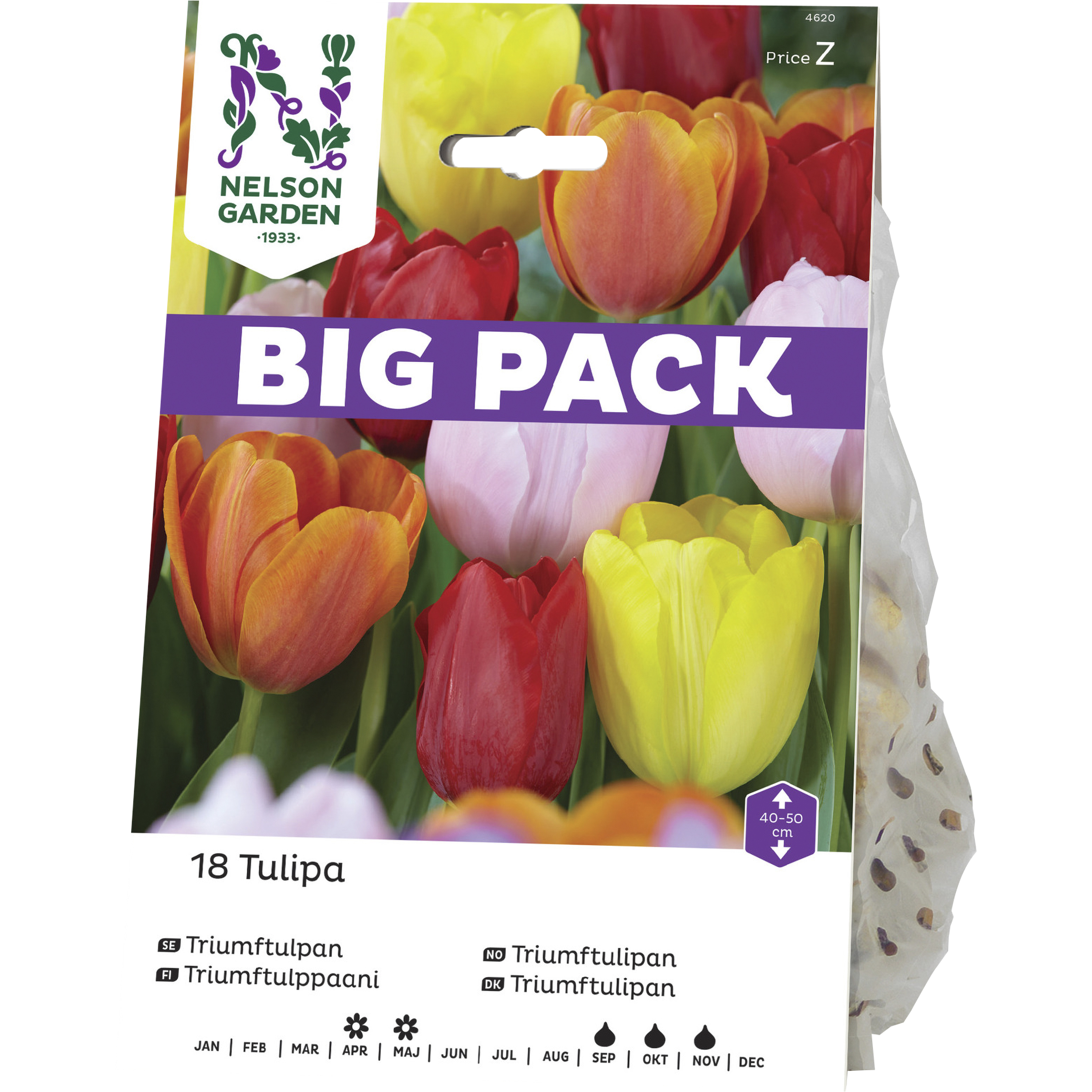 Höstlök Nelson Garden Triumftulpan Mix färg Big Pack