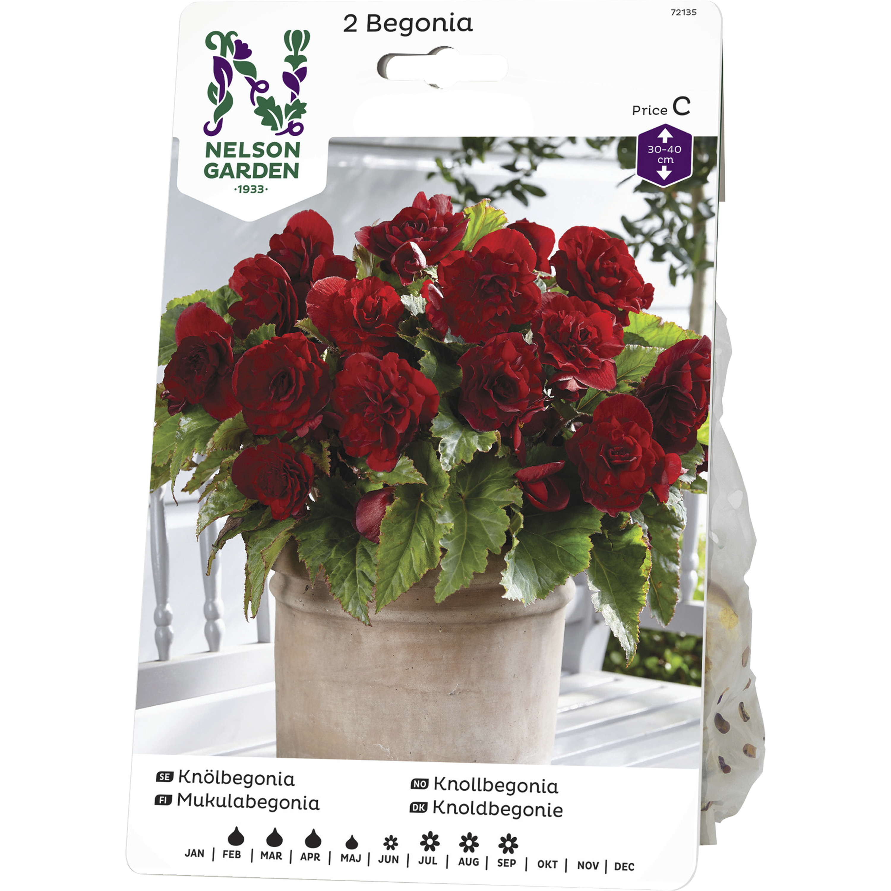 Vårlök Nelson Garden Begonia Dubbel Storblommig Röd