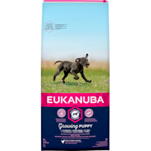 Hundfoder Eukanuba Puppy Large 15 kg