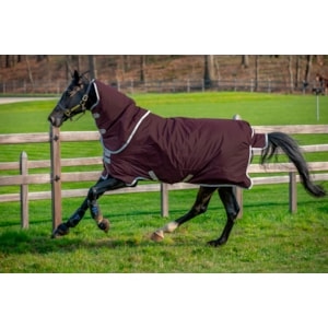 Hästtäcke Horseware Amigo Hero Ripstop Plus 200 g Vinröd 160 cm