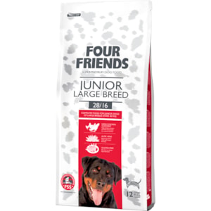 Hundfoder Four Friends Junior Large Breed 12 kg