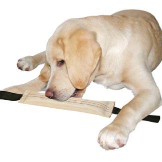 Träningsdummy för hund, 31 cm