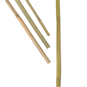 Bambukäpp Nelson Växtstöd 5-pack 120 cm