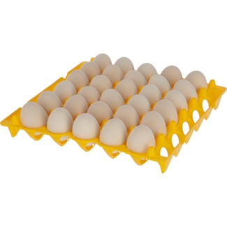Äggbricka Plast 30 ägg