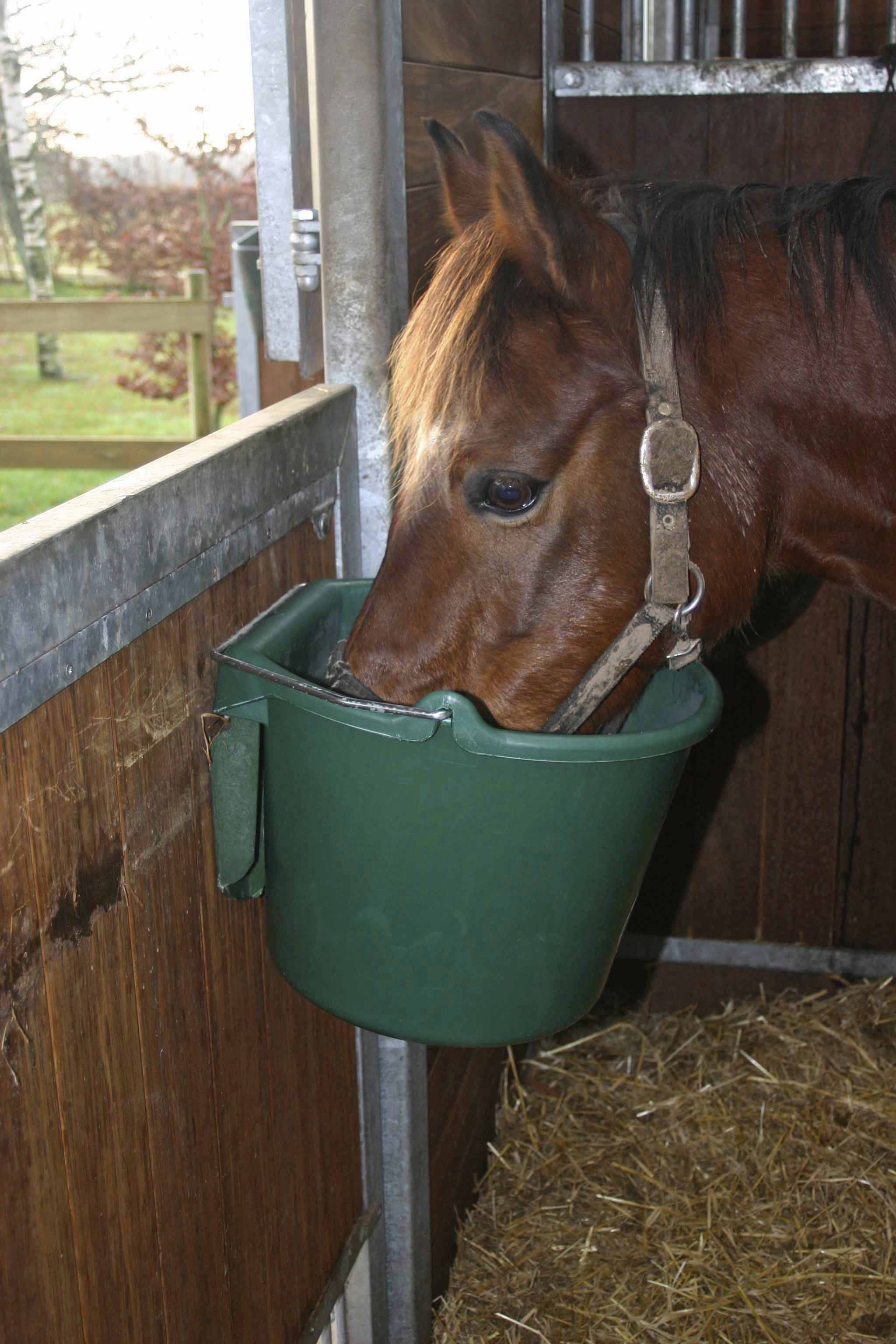 Foderhink / Vattenhink Young Line modell 119 Grön 20L