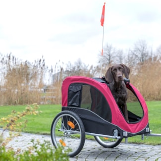 Cykelvagn Hund Trixie L Röd/Svart