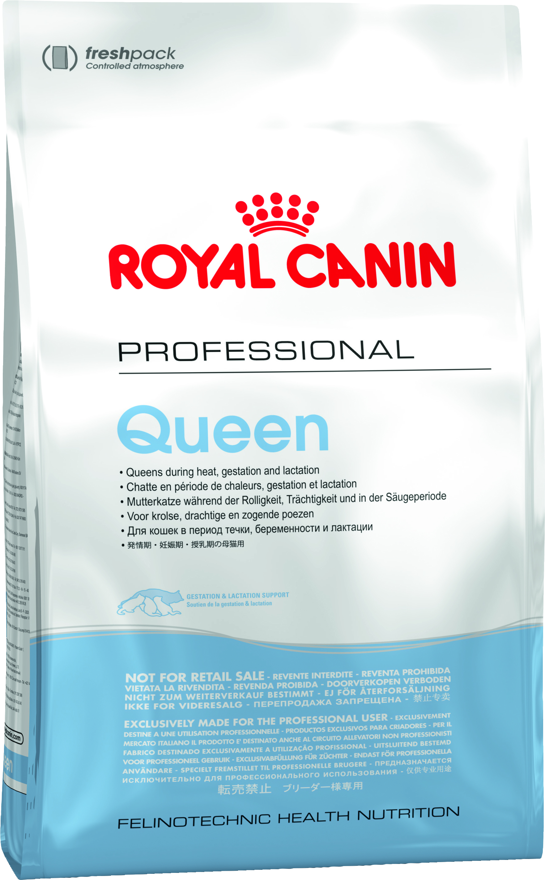 stopping dog from pulling on leash