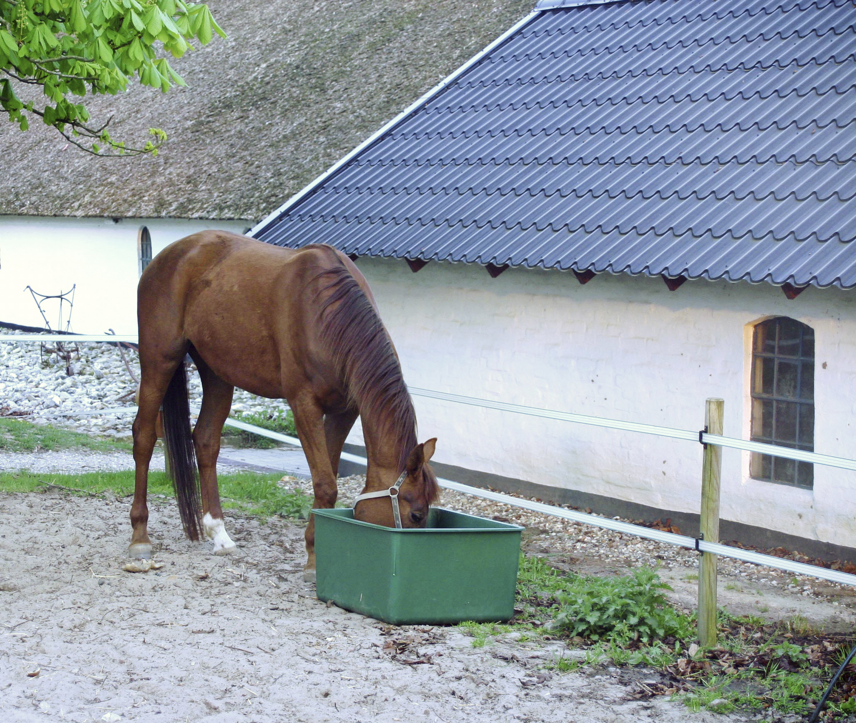 Vattenkar Young Line modell 860 Grön 200L