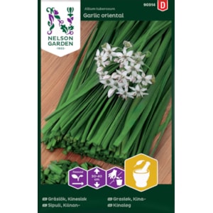 Fröer Nelson Garden Gräslök Kinesisk Garlic Oriental