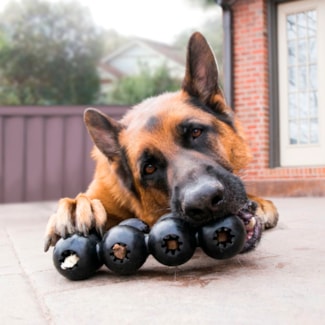 Aktivitetsleksak Hund Kong Extreme Goodie Ribbon L